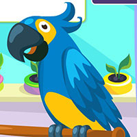 Гра Догляд за Папугою 