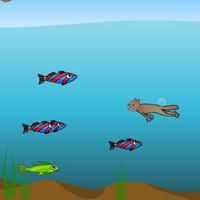 Гра плавання під водою: Ловець риби